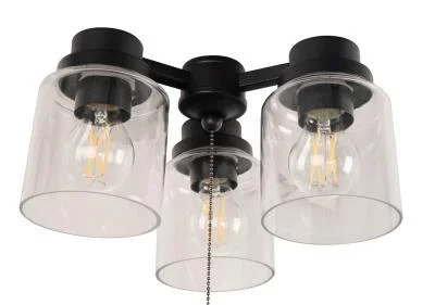 LED Ceiling Fan Light Kit2297545