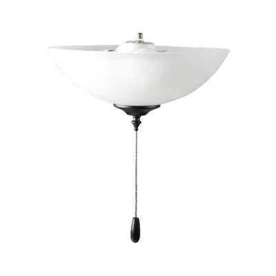 LED Ceiling Fan Light Kit2417963