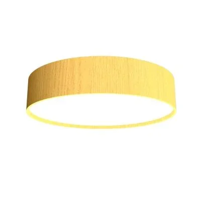 LED Ceiling Mount2371185