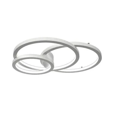 LED Ceiling Mount2371992