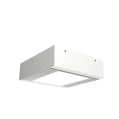 LED Ceiling Mount2372501