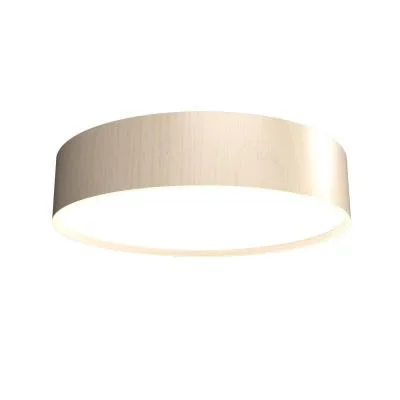 LED Ceiling Mount2372585