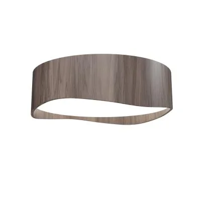 LED Ceiling Mount2458256