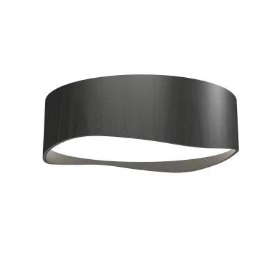 LED Ceiling Mount2458264