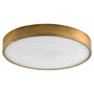 LED Ceiling Mount2471517