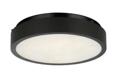LED Ceiling Mount2653320
