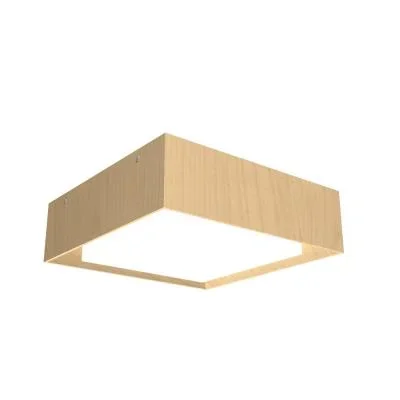 LED Ceiling Mount2739372