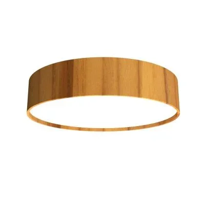 LED Ceiling Mount2739776
