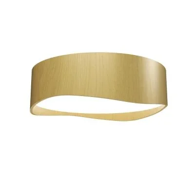 LED Ceiling Mount3079341