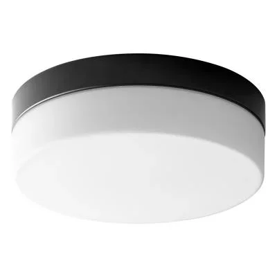 LED Ceiling Mount3102002