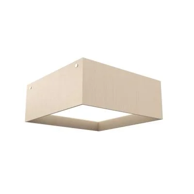 LED Ceiling Mount3241136