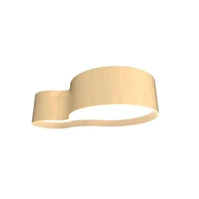 LED Ceiling Mount3425740