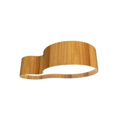 LED Ceiling Mount3425744