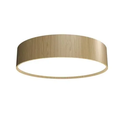LED Ceiling Mount3803844