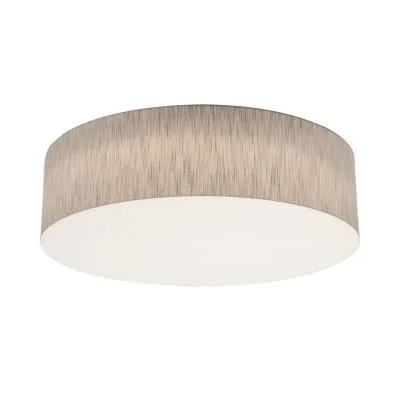 LED Ceiling Mount3832278