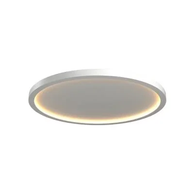 LED Ceiling Mount4280198