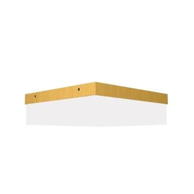LED Ceiling Mount4284568