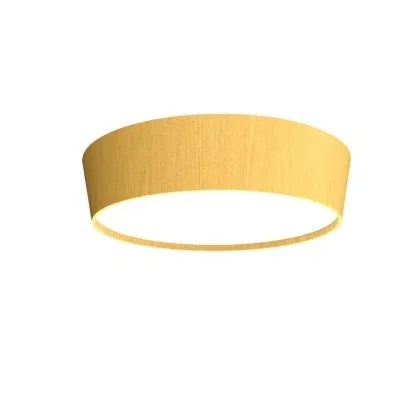 LED Ceiling Mount4284583