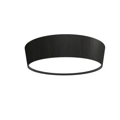 LED Ceiling Mount4284588