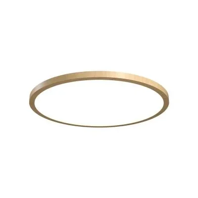LED Ceiling Mount4594688