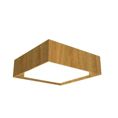 LED Ceiling Mount4823220