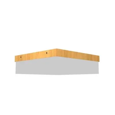 LED Ceiling Mount4823248