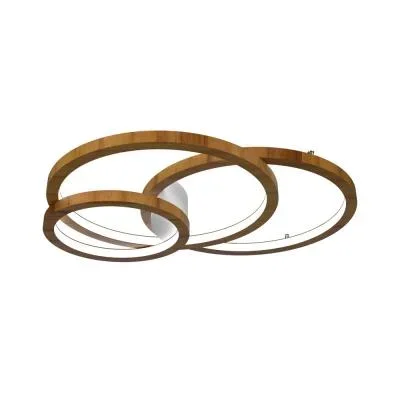 LED Ceiling Mount4823557