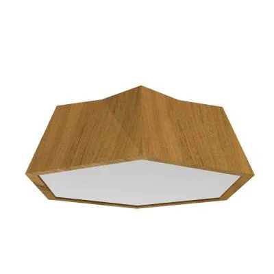 LED Ceiling Mount4823651