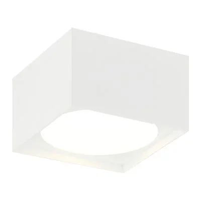 LED Ceiling Mount4833558