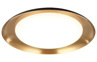 LED Ceiling Mount4833583