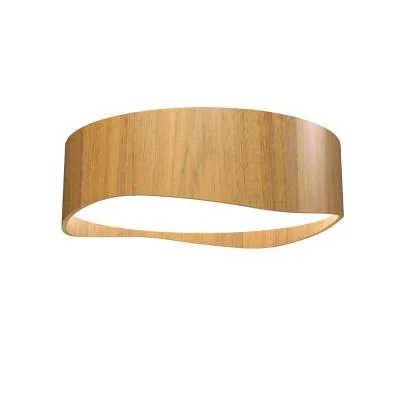 LED Ceiling Mount4967456