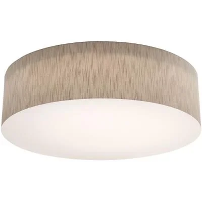 LED Ceiling Mount6167719