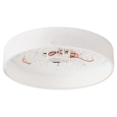 LED Ceiling Mount8059850