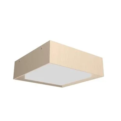 LED Ceiling Mount8108608