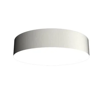 LED Ceiling Mount8109687
