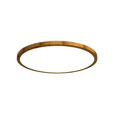 LED Ceiling Mount8628563