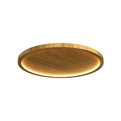 LED Ceiling Mount9029647