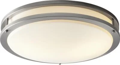 LED Ceiling Mount978664