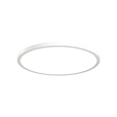 LED Ceiling Mount9853149