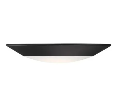 LED Disc Light4500216