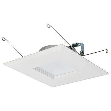 LED Downlight (S11821R1)