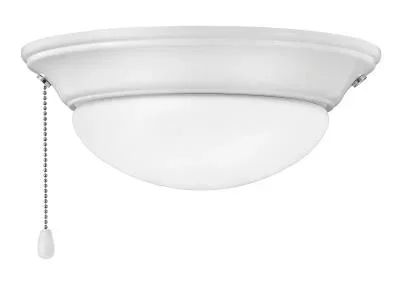 LED Fan Light Kit2110131