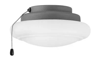 LED Fan Light Kit2110196