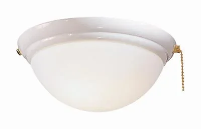 LED Fan Light Kit2298421