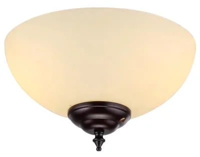 LED Fan Light Kit821713