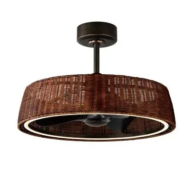 LED Fandelight3818253