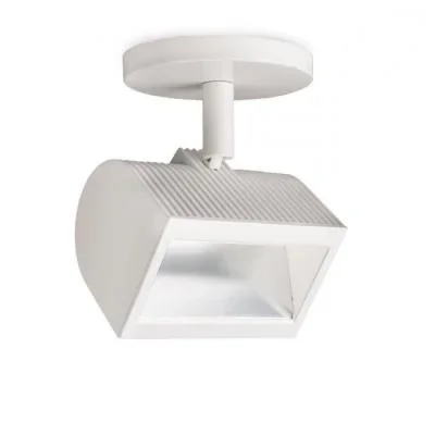 LED Flood Light4024959