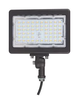 LED Flood Light4232287