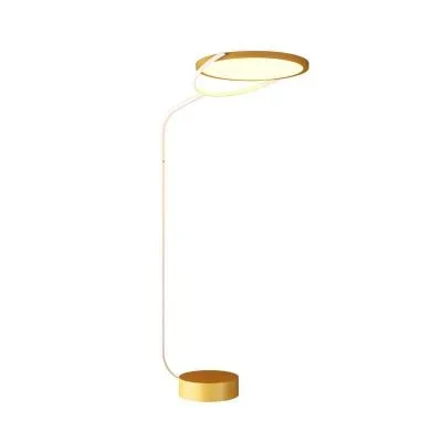 LED Floor Lamp9802881