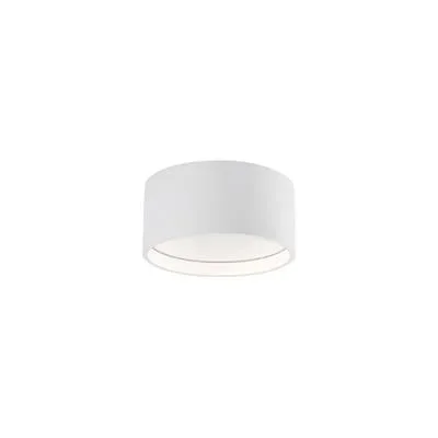 LED Flush Mount013387